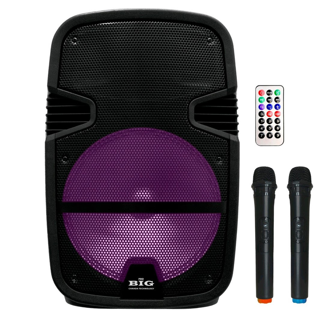 BIG Колонка аккумуляторная BIG350STORM USB/MP3/FM/BT/TWS + 2  радиомикрофона. Купить в Киеве. Тел.: +38 (044) 229-50-84